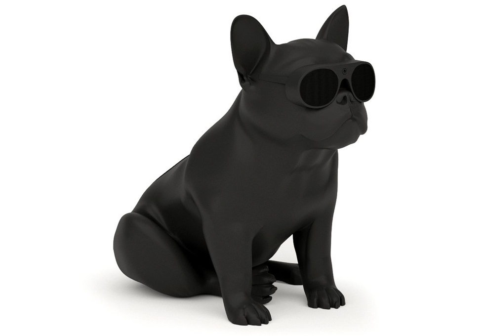 

Акустическая система Aerobull XS1 матовый черный